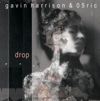 Cover: Gavin Harrison / 05Ric - Drop 
